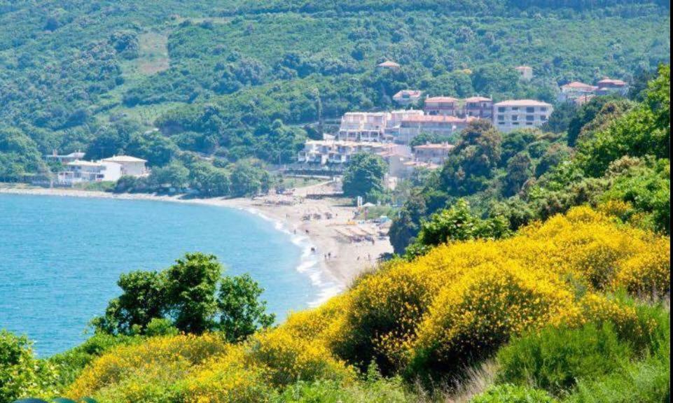 The Country House Koutsoupia Kókkinon Nerón Εξωτερικό φωτογραφία